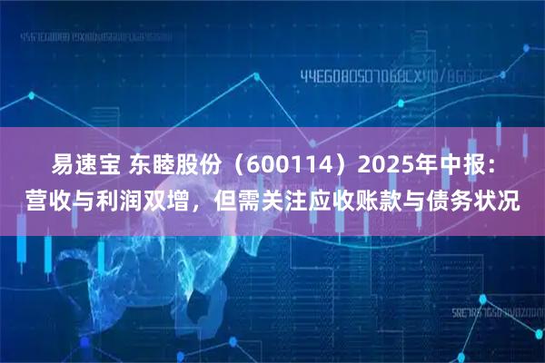 易速宝 东睦股份（600114）2025年中报：营收与利润双增，但需关注应收账款与债务状况