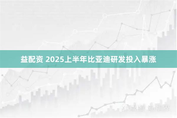 益配资 2025上半年比亚迪研发投入暴涨