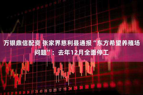 万银鼎信配资 张家界慈利县通报“东方希望养殖场问题”：去年12月全面停工