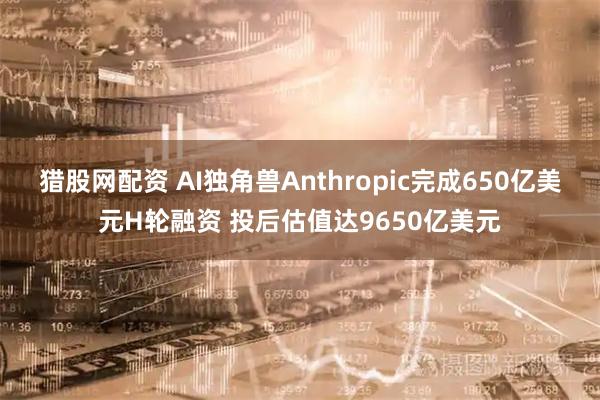 猎股网配资 AI独角兽Anthropic完成650亿美元H轮融资 投后估值达9650亿美元